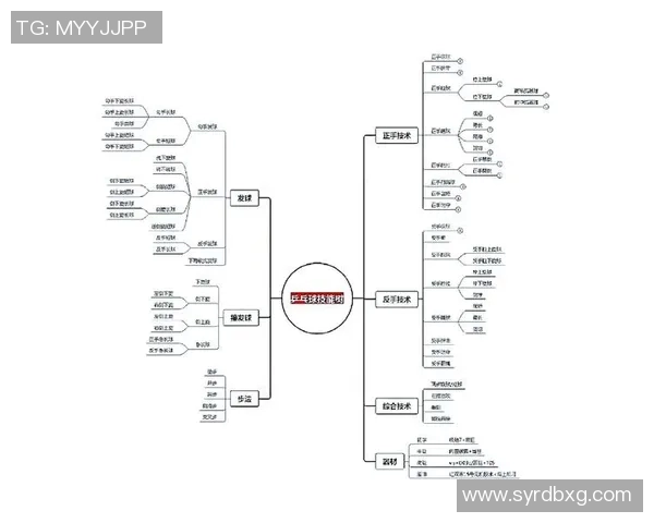深圳乒乓球队技术深度解析:从基础训练到竞技策略的全方位探讨 深圳乒乓球队技术深度解析:从基础训练到竞技策略的全方位探讨
