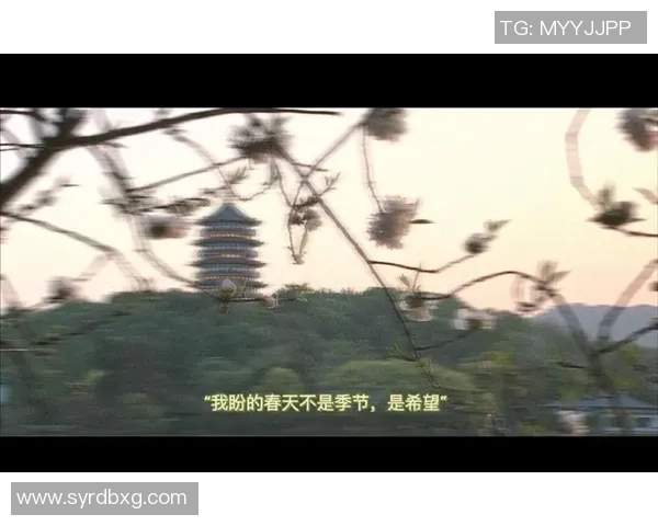 北京排球队逆袭之路:从低谷到巅峰的大师赛传奇故事 北京排球队逆袭之路:从低谷到巅峰的大师赛传奇故事