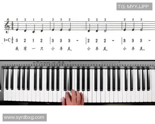 篮球新手必看:掌握节奏与技巧的全面入门指南 篮球新手必看:掌握节奏与技巧的全面入门指南