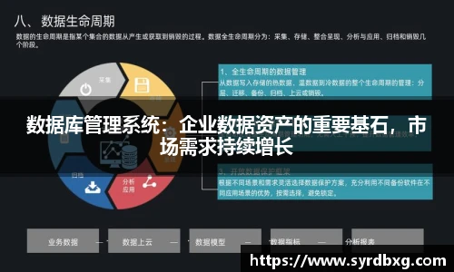 数据库管理系统：企业数据资产的重要基石，市场需求持续增长