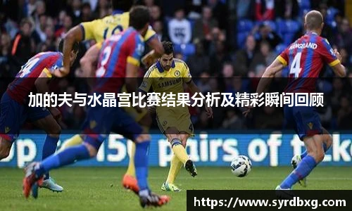 加的夫与水晶宫比赛结果分析及精彩瞬间回顾
