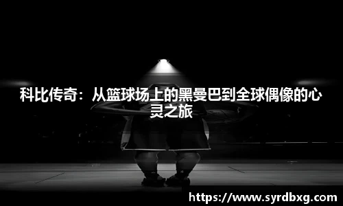 NG体育
